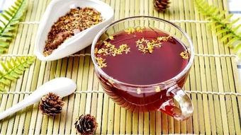 养生相伴，共品二十四节气之美